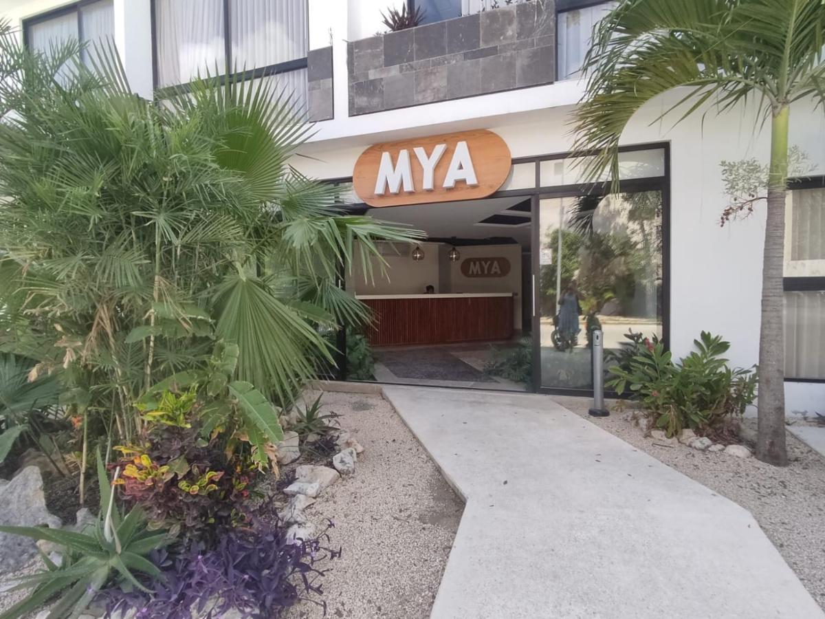 Nuevo Estudio Con Terraza Totalmente Equipado Tulum Aldea Zama Buitenkant foto